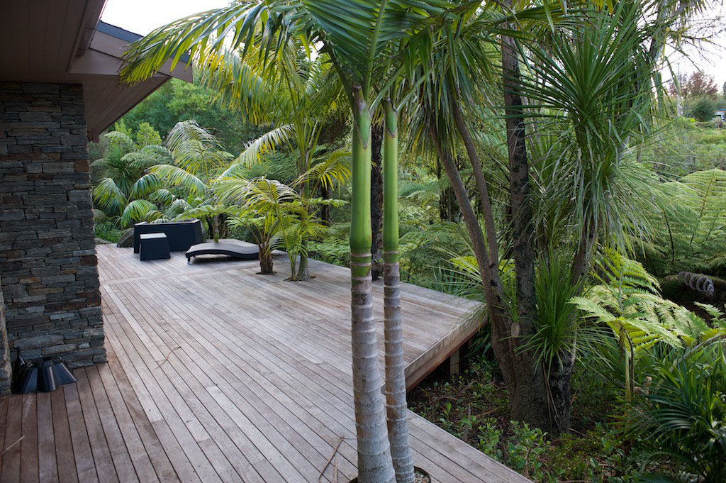 views of deck and palms