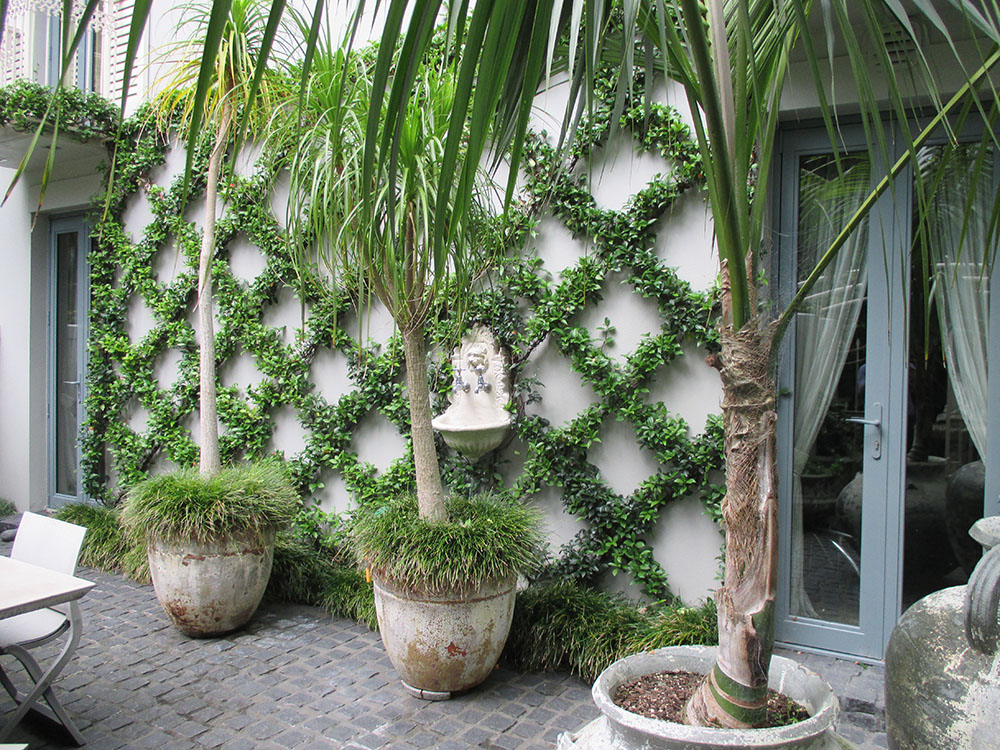 palms at front door